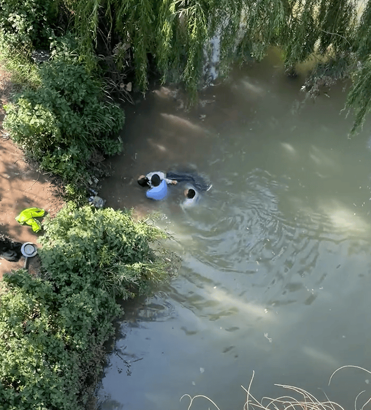 皇冠信用网平台出租
_辅警跳河救起轻生女皇冠信用网平台出租
,上岸时被红火蚁咬伤:系最危险入侵物种之一,过敏者或致休克
