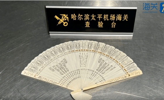 正网皇冠信用網_一旅客因一把“漂亮折扇”在哈尔滨机场被查！经鉴定：非洲象象牙制品正网皇冠信用網，净重61.7克