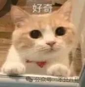 皇冠信用网代理_要结婚了皇冠信用网代理?恋情居然瞒了整整六年......