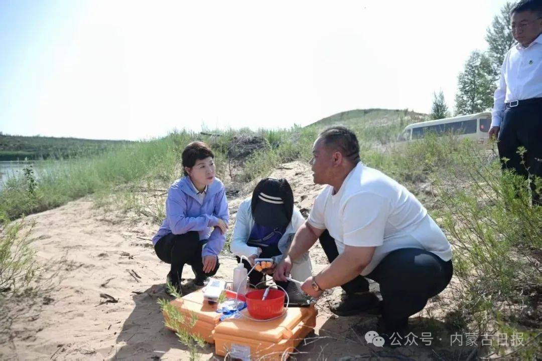 皇冠信用网怎么开户_王莉霞在鄂尔多斯督导中央巡视及中央生态环保督察移交信访件办理工作