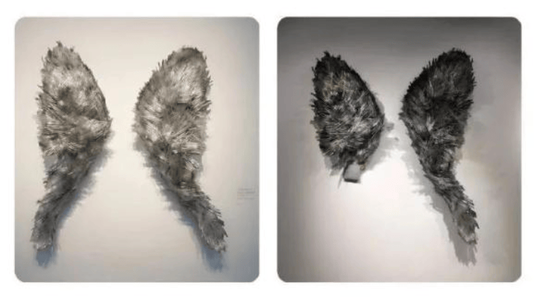 皇冠信用网如何注册_上海一博物馆循环播放12年前“熊孩子”损坏展品视频皇冠信用网如何注册，馆方：起警示作用