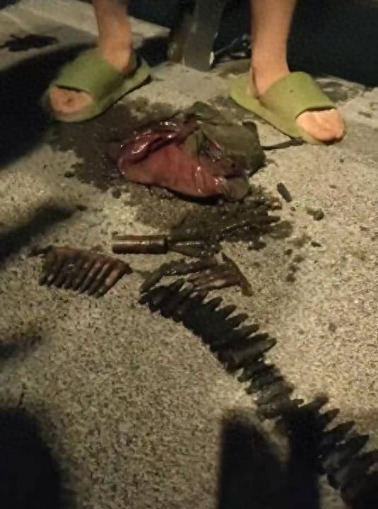 富勒姆 vs 利兹联 | 河边钓鱼钓上来30多枚子弹富勒姆 vs 利兹联，常德武陵警方正调查处理