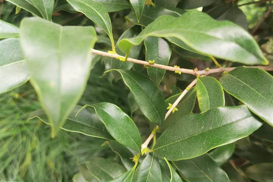 皇冠信用網代理如何注册_上海天气大反转！雨水+冷空气来袭皇冠信用網代理如何注册，气温将骤降...“差不多行了，再热就不礼貌了”