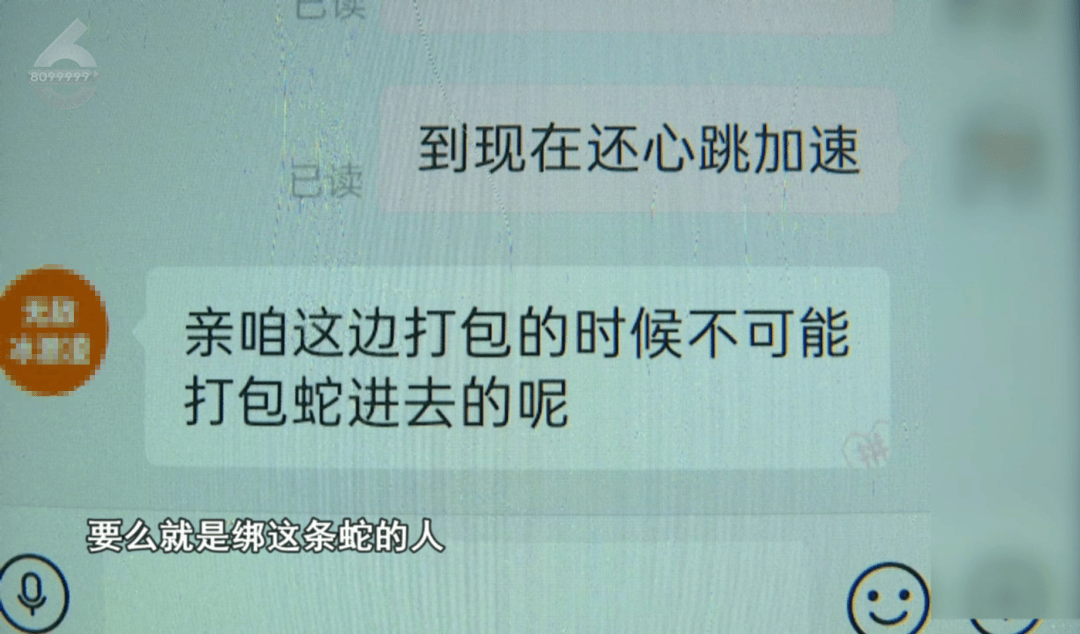 皇冠信用网怎么申请_太吓人！云南女子网购塑料凳皇冠信用网怎么申请，拆开竟发现一条蛇被胶带粘在椅子上！还在动