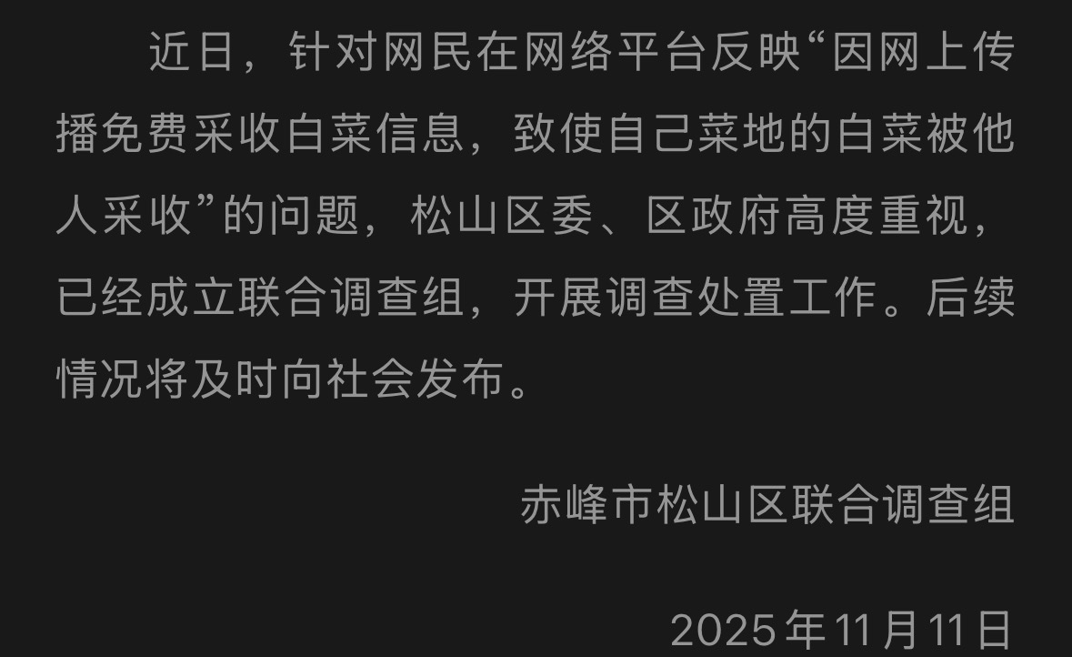 皇冠信用网出租代理_赤峰通报“因网传白菜免费信息皇冠信用网出租代理，致菜农白菜地被他人采收”一事：已成立联合调查组