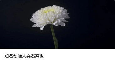 皇冠信用網平台出租_跨境网赌头目佘智江（湖南出生皇冠信用網平台出租，后获柬埔寨国籍），被引渡回中国