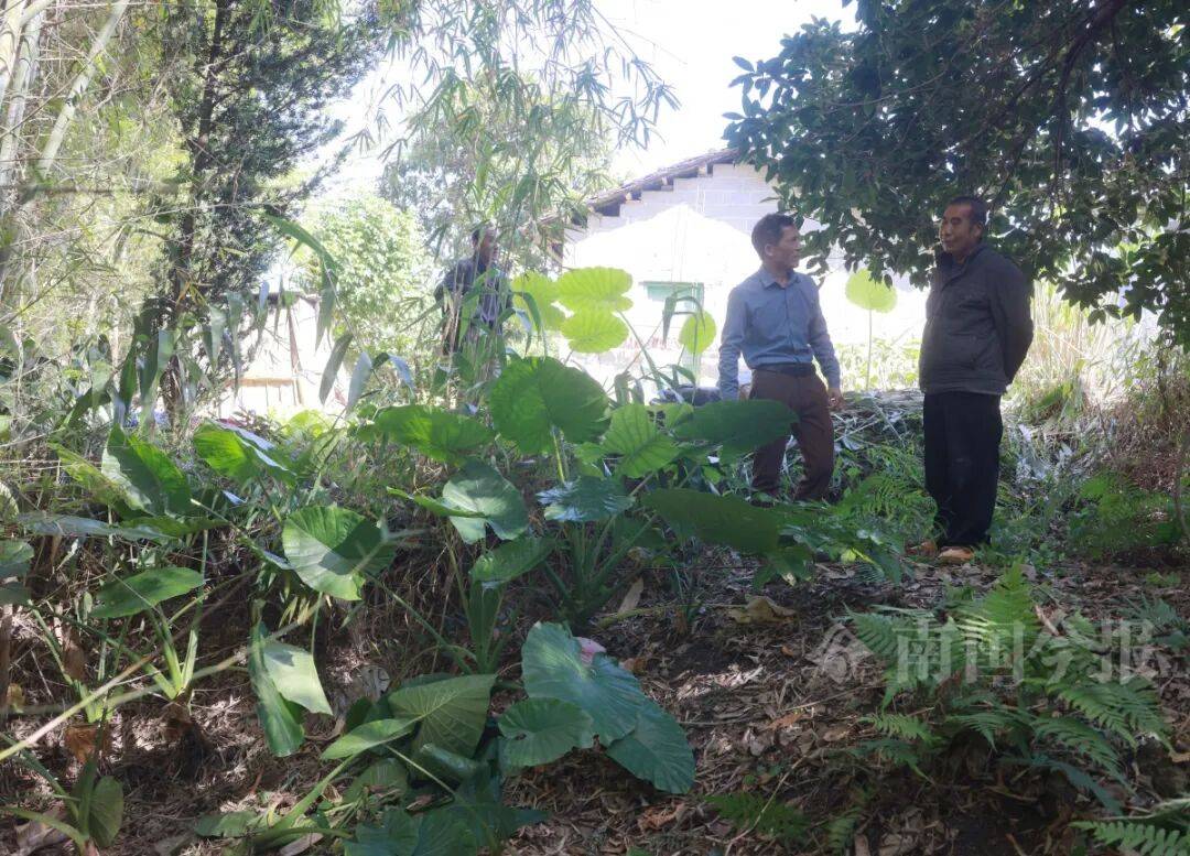 皇冠信用需要押金吗_柳州钓鱼阿叔竹林挖蚯蚓皇冠信用需要押金吗，竟挖出千年前的“大宝贝”！